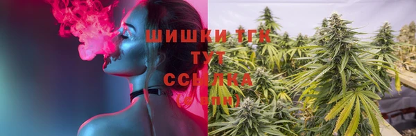 молекула духа Богородск