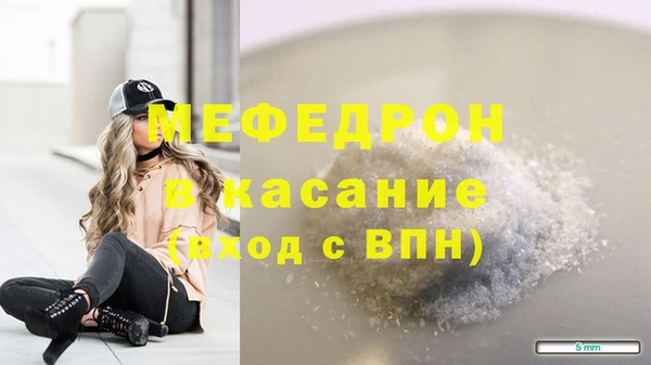 мдпв Богородицк