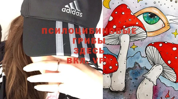 молекула духа Богородск