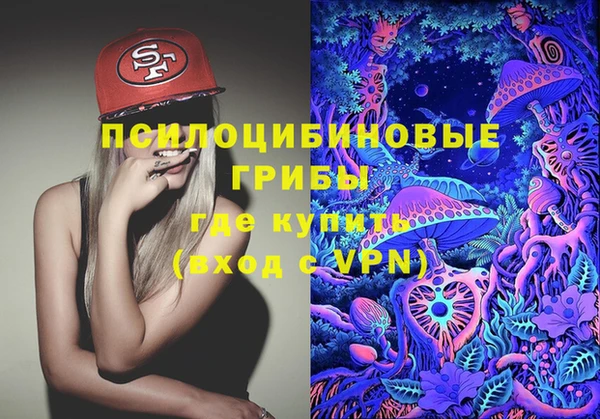 соль курить ск Богданович