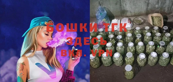 молекула духа Богородск